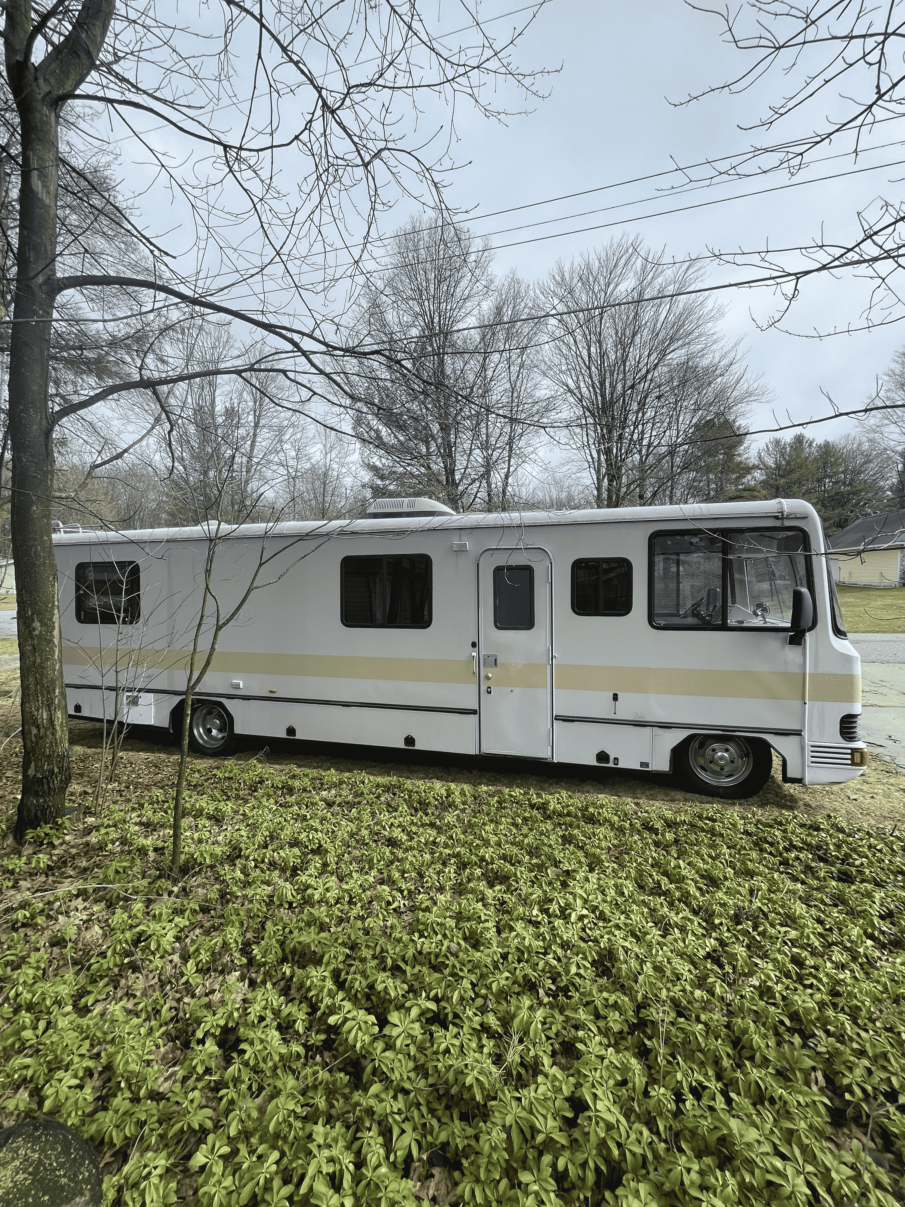 1992 Georgie Boy Swinger