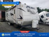 New 2009 Palomino Puma