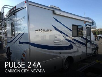 2010 Fleetwood Pulse