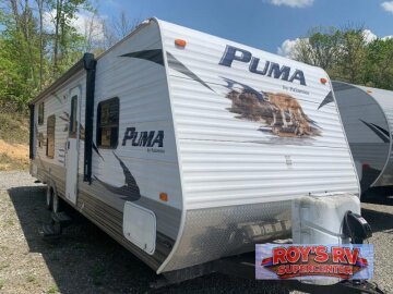 2011 Palomino Puma