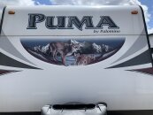 2016 Palomino Puma