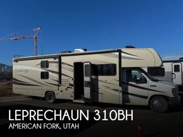 2017 Coachmen Leprechaun 310BH