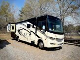 2017 Forest River Georgetown
