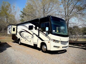 2017 Forest River Georgetown