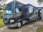 Thumbnail Photo 1 for 2018 Newmar Canyon Star