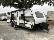 2019 Palomino Puma