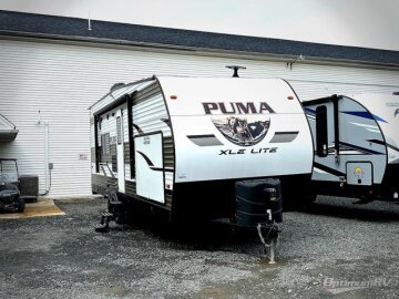 2019 Palomino Puma