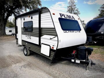 2020 Palomino Puma