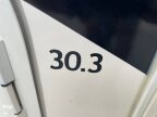 Thumbnail Photo 5 for 2021 Thor ACE 30.3