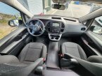 Thumbnail Photo 6 for 2022 DRV Full House