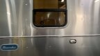 Thumbnail Photo 3 for New 2025 Airstream Bambi