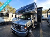 New 2025 Coachmen Leprechaun 319MB