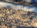 Thumbnail Photo 6 for New 2025 Holiday Rambler Vacationer 33C