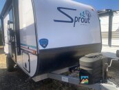 New 2025 Keystone Sprout