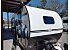 New 2025 Modern Buggy Big Buggy