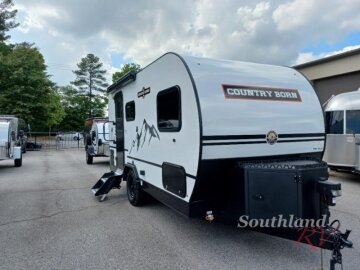 New 2025 Modern Buggy Country Born