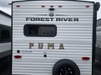 Thumbnail Photo 5 for New 2025 Palomino Puma