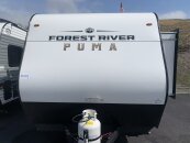 New 2025 Palomino Puma