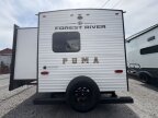 Thumbnail Photo 5 for New 2025 Palomino Puma