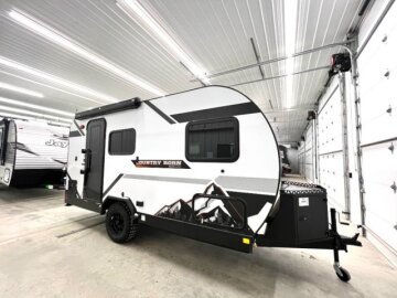 New 2026 Modern Buggy Country Born