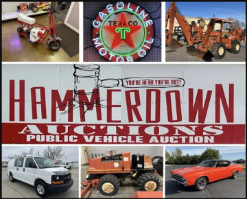 Hammerdown Auctions