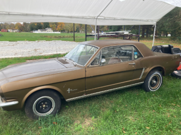Lee M. Fox Auctions
