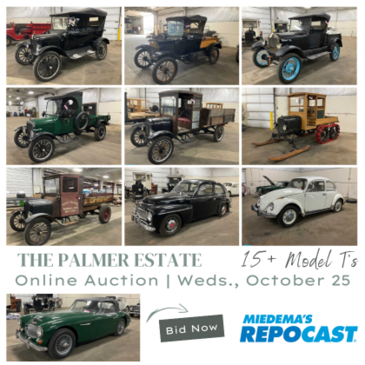 The Palmer Estate Car Collection - Austin Healey, Model T's, Volvo & VW - Online Only