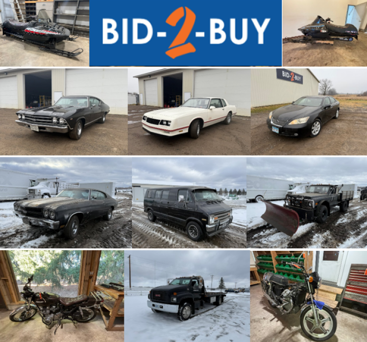 Ham Lake Estate: Collector Cars, Parts, Tools, Shop Supplies - Online Only