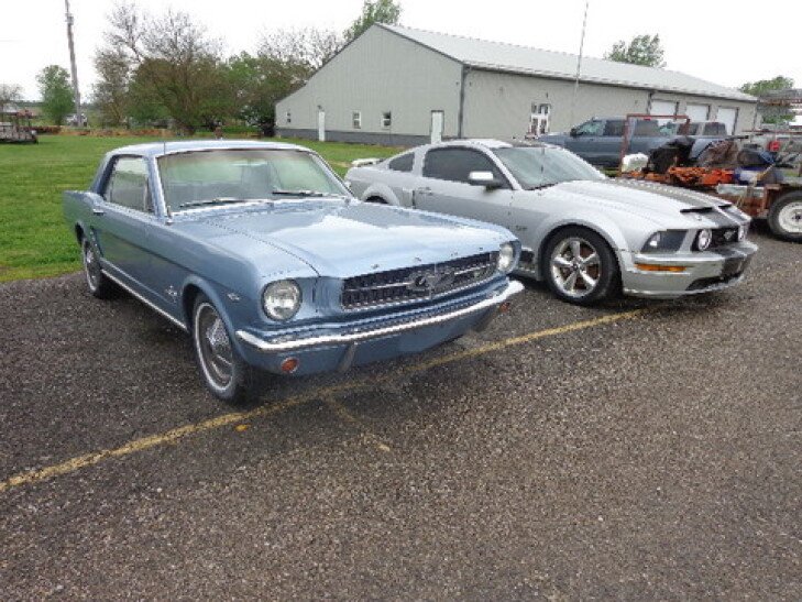 Mustang Auction & Large Consignment Event