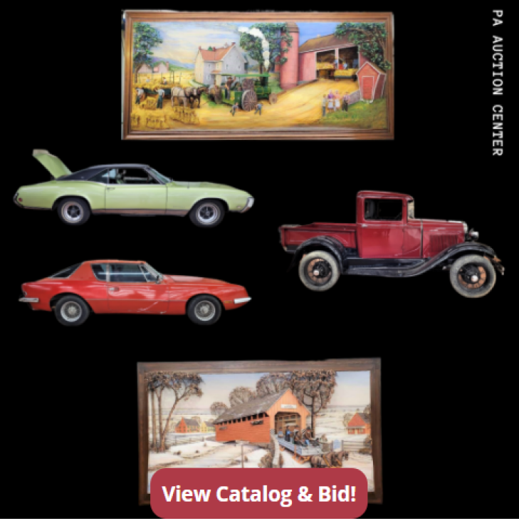 COLLECTOR CARS, ZOOK 3D ARTWORK & ANTIQUES - LIVE & ONLINE AUCTION